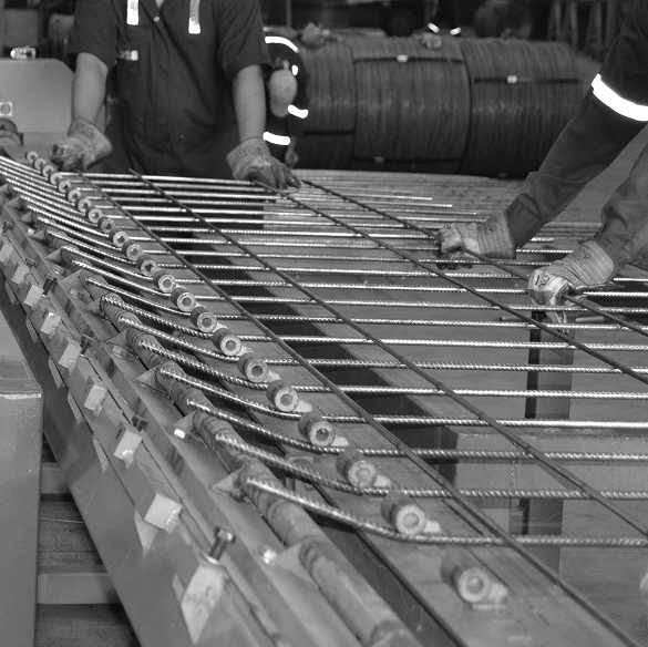 Welded Wire Mesh